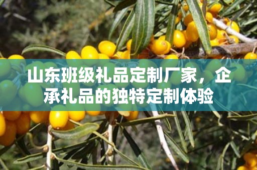 山东班级礼品定制厂家，企承礼品的独特定制体验